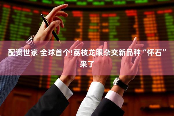 配资世家 全球首个!荔枝龙眼杂交新品种“怀石”来了