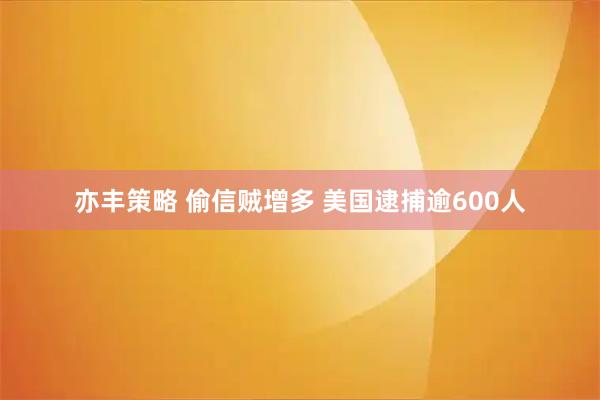 亦丰策略 偷信贼增多 美国逮捕逾600人