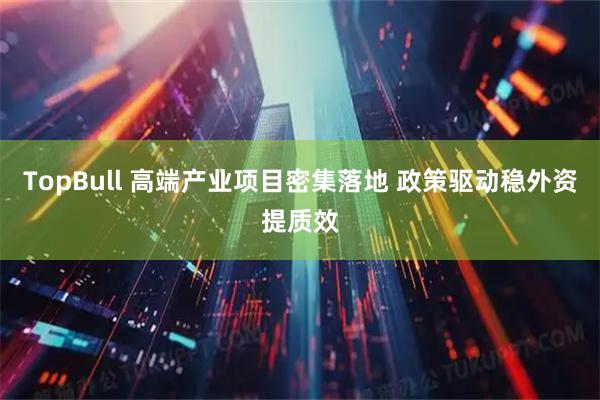 TopBull 高端产业项目密集落地 政策驱动稳外资提质效